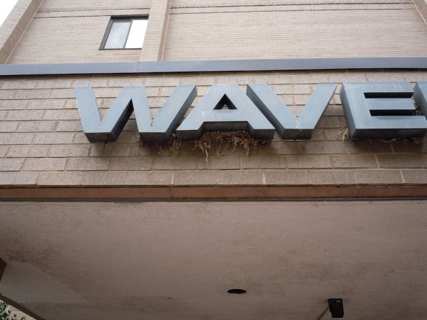 Commercial Bird Control in MD, DC, VA