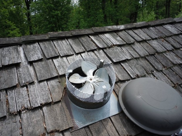 Wildlife Repairs and Exclusions MD, DC, VA